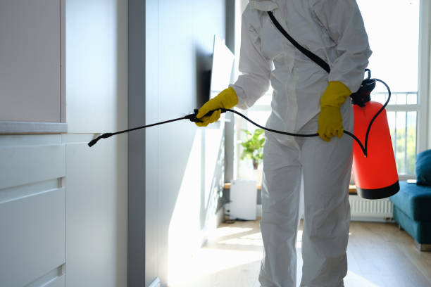 Best Attic Mold Removal  in Perry Heights, OH